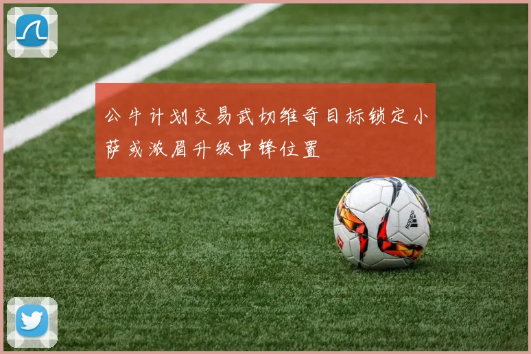 公牛计划交易武切维奇目标锁定小萨或浓眉升级中锋位置