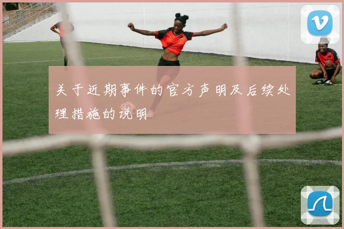 关于近期事件的官方声明及后续处理措施的说明