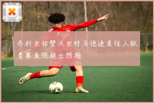 乔科尔称赞沃尔特马德速度惊人欧青赛表现超出预期