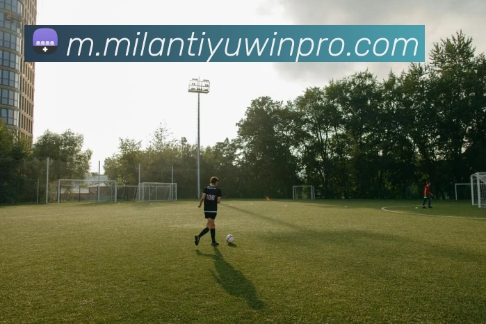 米兰体育平台生态图