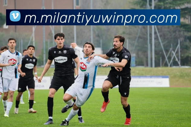 米兰体育APP 封面图